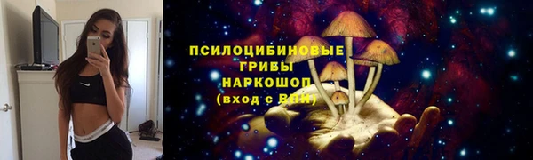 гидропоника Верхний Тагил