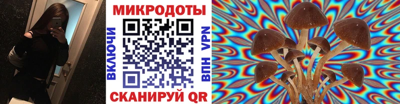 Псилоцибиновые грибы мухоморы  цены   Дивногорск 